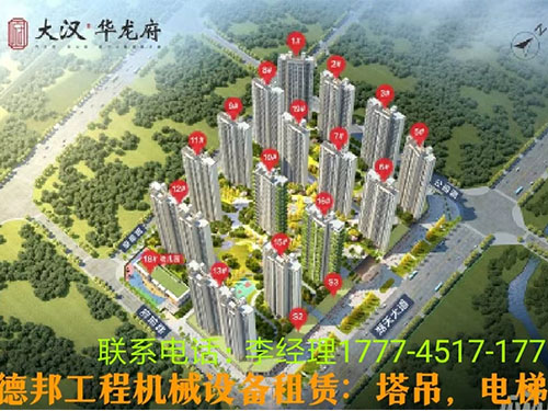 大漢.華龍府項目案例 大漢.華龍府項目案例